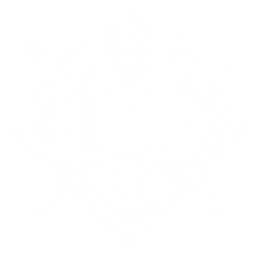 Academia Squad