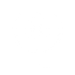 Aegis Squad