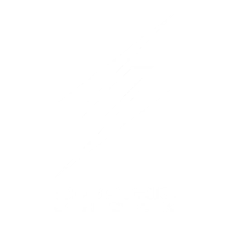Electric Shock Squad