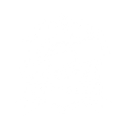 Overseer Squad
