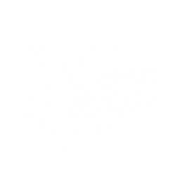 Rewind Squad