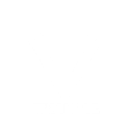 Triangle Squad