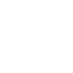 Underworld Queen Squad