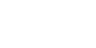 Veiled Order Squad
